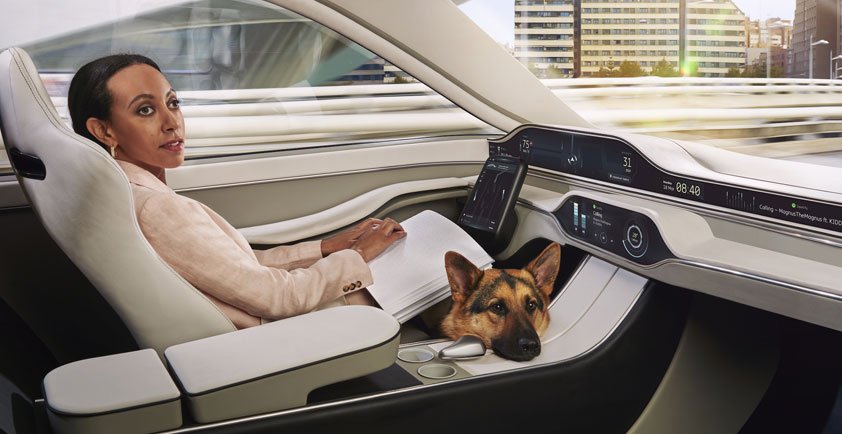 Self Driving Vehicles